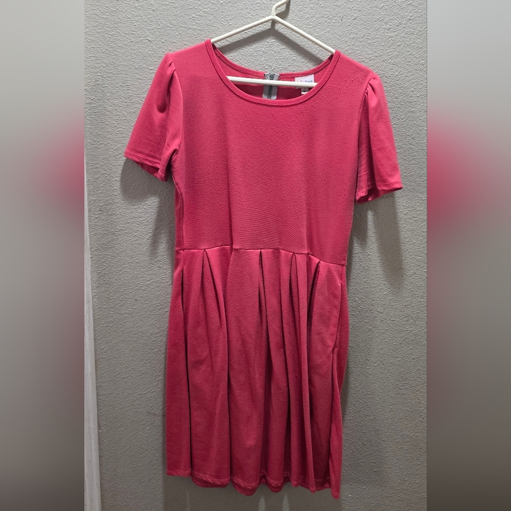 LuLaRoe Pink Pleated Fit and Flare Dress